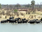 Kruger National Park in South Africa