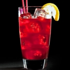 Sloe Gin Fizz Recipe