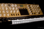 Moog Music Gold Minimoog Images