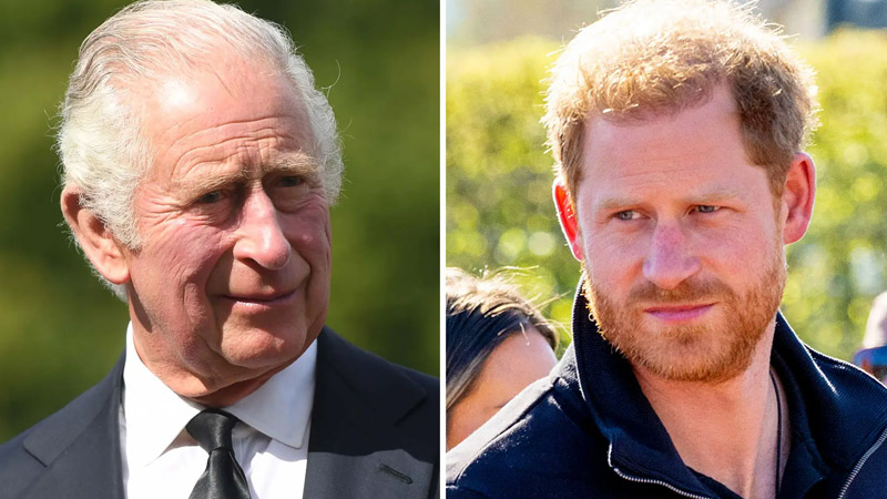  Prince Harry shares candid views on father-son rivalry amid King Charles feud