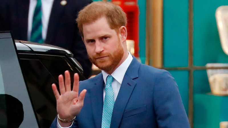  Prince Harry’s California Experience Helps Him Stand on His Own, Expert Claims