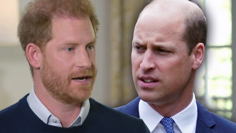  Prince William Knew Meeting Harry’s ‘Arch-Enemy’ Would Spark Drama, Experts Claim