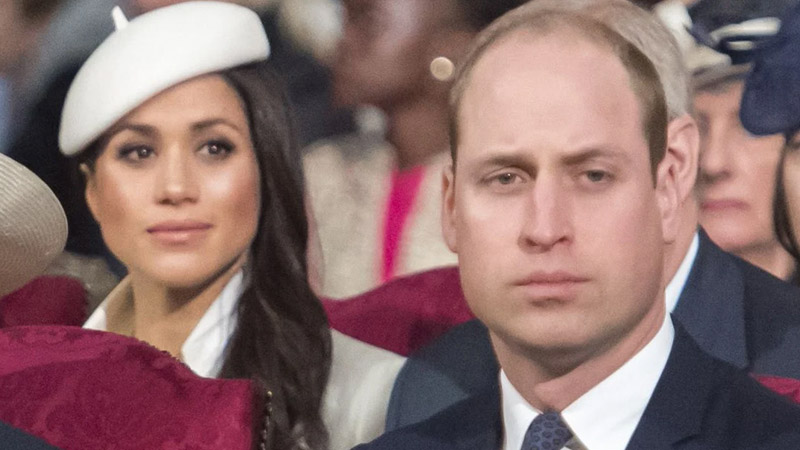  Prince William ‘Deeply Troubled’ Over Diana’s Missing Diamonds Allegedly Given to Meghan Markle