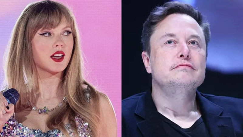 Taylor Swift and Elon Musk