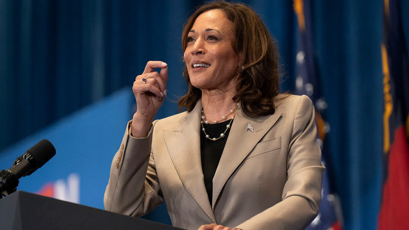  Experts Question Kamala Harris’ Sobriety and Alleged Drinking Problem in Post-Election Video