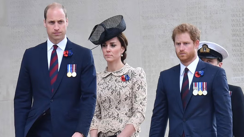  Royal Expert Claims Trust is Broken as William and Kate Fear Private Talks Could End Up in Harry’s Next Book