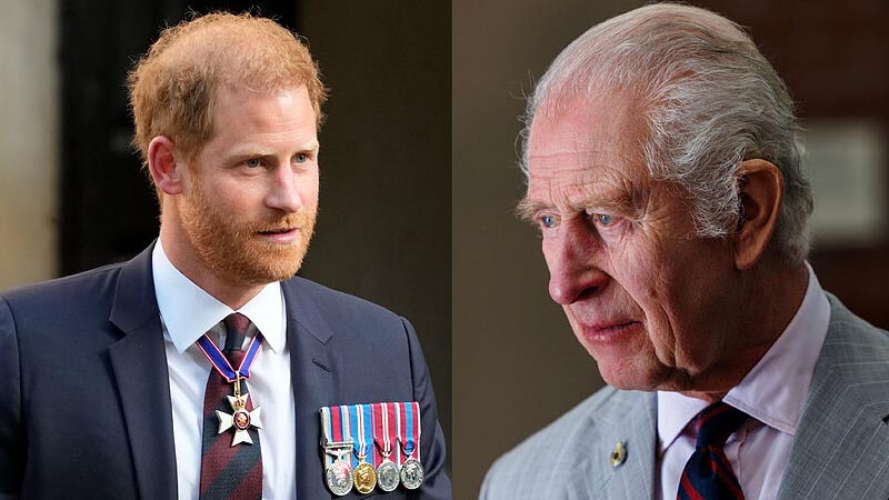  King Charles Faces Legal Jeopardy in Potential Talks with Prince Harry Amid Government Dispute