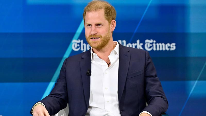  Prince Harry Accused of Erasing Royal Family’s Polo Legacy in New Documentary