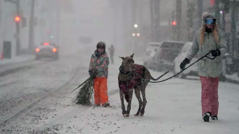 Florida Hit by 'Once-in-a-Lifetime' Snowstorm